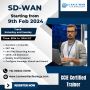 VIPTELA Cisco SD-WAN Deployment and Troubleshooting