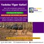 Best Wildlife Tour Packages from Delhi | Safari Tour