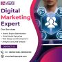 Best Digital Marketing Agency in Delhi | Lattice Purple