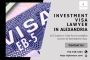 Trusted Guidance for Investment Visas in Alexandria