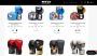 Browse The Latest Collection Of Muay Thai Gloves
