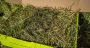 Chinchilla hay for sale in the U.K. Chinchilla hay for sale in the U.K.