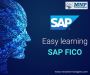Best SAP FICO Training In Marathahalli Bangalore