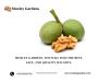 Best California Walnut Company | Get natural Walnuts at Moxl