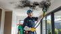 Need Mould Removal in Eastern Suburbs? Call Now Need Mould Removal in Eastern Suburbs? Call Now