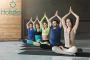 Top Yoga Classes | Online & Offline Yoga Class Near me