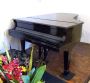 Steinway Grand piano