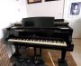 Steinway Grand piano