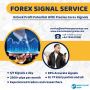 Forex Financial Service