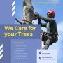 Tree Service Garrison | Marylandtreediscountservice.com