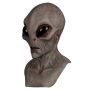 Spooky and Extraterrestrial Alien Halloween Mask
