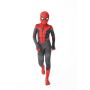 Swing into Action with a Spiderman Halloween Costume