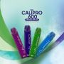 Get Online IVG Calipro 600 Disposable Vape
