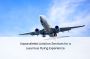 Unparalleled Aviation Services for a Luxurious Flying Experi