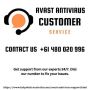 Call On Avast Toll-free Number Australia +61 480 020 996