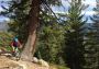 The Tahoe Mountain Bike Trail System is An Adventurer's
