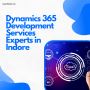 Dynamics 365 Development Services Experts in Indore