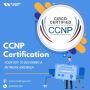 Best CCNP Certification Network Kings 