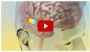 Cortexi - Hearing, Tinnitus, Brain, Memory