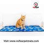 NoFear Pet Mats:High Quality Mats for Cats Online in the USA