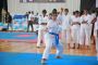 Nochikan karate international Provides Best martial arts tr