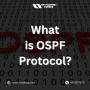 What is OSPF Protocol? Best Explained!