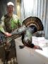 Texas Turkey Hunts – Guided Gobbler Adventures Texas Turkey Hunts – Guided Gobbler Adventures