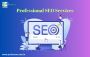 Choose the Right Professional SEO Service for Your  Business