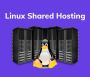 Are you Looking for Best Shared Hosting?