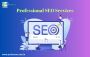 Looking for the Best professional SEO Service in Bhubaneswar