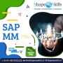 Choose the best SAP MM Training in Noida