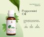 Pai organics peppermint essential oil - made of natural plan
