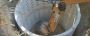 Cesspool Installation Cutchogue Cesspool Installation Cutchogue