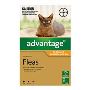 Buy Advantage (Flea Control) for Cats Online |petcaresuppli