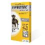 Buy Fiprotec Spot-on for Extra Large Dogs (Yellow) Online |p
