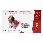Revolution for Dogs Red Box on Sale |petcaresupplies|