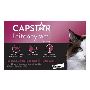 Buy Capstar with Extra 25% OFF on Sitewide|petcaresupplies|