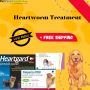 Heartworm Treatment for Dogs at reasonable price|