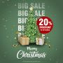 Celebrate the season with us! Christmas Hot Sale 20% Off