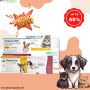 Super Sale is Live upto @ 55 % off on pet supplies
