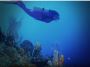Experience The Adventures Diving Package In Cyprus-Zenobia-W
