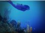 Paphos Diving Delight: Underwater Adventures with Pissouri 