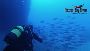 Explore the Depths: Cyprus Zenobia Wreck Diving Adventure
