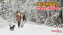 Top 10 Snowfall Places in India in Winters