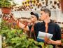 A Comprehensive Guide to Hanging Baskets