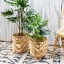 Find an Assortment of Decorative Baskets Online in India