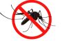 Protect Your Home: Mosquito Prevention in Singapore