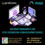 Rise Project Management & CRM Setup, Customization, Plugin D