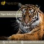 Tiger Safari In India