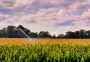 Advanced Commercial Agriculture Water System Solutions